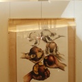 Castellón, Exposición Ana Beltran