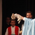 Castellón, Betlem de la Pigà Navidad 2011