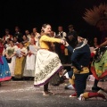 Castellón, Betlem de la Pigà Navidad 2011