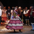 Castellón, Betlem de la Pigà Navidad 2011
