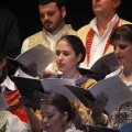 Castellón, Betlem de la Pigà Navidad 2011