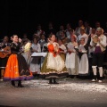 Castellón, Betlem de la Pigà Navidad 2011