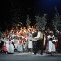 Castellón, Betlem de la Pigà Navidad 2011