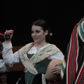 Castellón, Betlem de la Pigà Navidad 2011