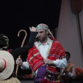 Castellón, Betlem de la Pigà Navidad 2011