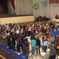 Castellón, Divertilandia 2011