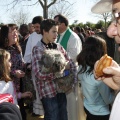 Castellón, Sant Antoni 2012