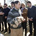 Castellón, Sant Antoni 2012