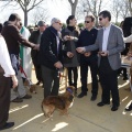 Castellón, Sant Antoni 2012