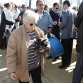 Castellón, Sant Antoni 2012