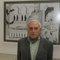 El Quijote visto por Manuel Fandos