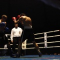 Castellón, Velada boxeo homenaje a Javier Castillejo