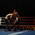 Castellón, Velada boxeo homenaje a Javier Castillejo