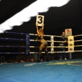 Castellón, Velada boxeo homenaje a Javier Castillejo
