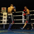 Castellón, Velada boxeo homenaje a Javier Castillejo
