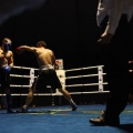 Castellón, Velada boxeo homenaje a Javier Castillejo