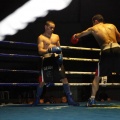 Castellón, Velada boxeo homenaje a Javier Castillejo