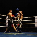 Castellón, Velada boxeo homenaje a Javier Castillejo