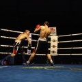 Castellón, Velada boxeo homenaje a Javier Castillejo
