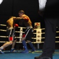 Castellón, Velada boxeo homenaje a Javier Castillejo