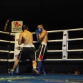 Castellón, Velada boxeo homenaje a Javier Castillejo