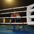 Castellón, Velada boxeo homenaje a Javier Castillejo
