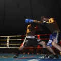 Castellón, Velada boxeo homenaje a Javier Castillejo