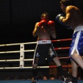 Castellón, Velada boxeo homenaje a Javier Castillejo