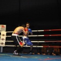 Castellón, Velada boxeo homenaje a Javier Castillejo