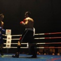 Castellón, Velada boxeo homenaje a Javier Castillejo