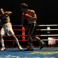 Castellón, Velada boxeo homenaje a Javier Castillejo