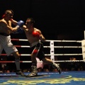 Castellón, Velada boxeo homenaje a Javier Castillejo
