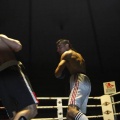 Castellón, Velada boxeo homenaje a Javier Castillejo