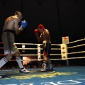 Castellón, Velada boxeo homenaje a Javier Castillejo