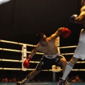Castellón, Velada boxeo homenaje a Javier Castillejo