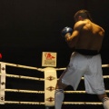Castellón, Velada boxeo homenaje a Javier Castillejo