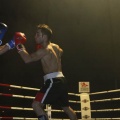 Castellón, Velada boxeo homenaje a Javier Castillejo