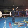 Castellón, Velada boxeo homenaje a Javier Castillejo
