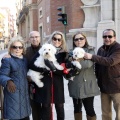 Tradicional procesión cívica en honor de Sant Antoni