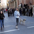 Tradicional procesión cívica en honor de Sant Antoni