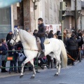 Tradicional procesión cívica en honor de Sant Antoni