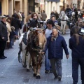 Tradicional procesión cívica en honor de Sant Antoni