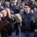 Tradicional procesión cívica en honor de Sant Antoni