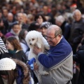 Tradicional procesión cívica en honor de Sant Antoni
