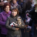 Tradicional procesión cívica en honor de Sant Antoni