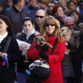 Tradicional procesión cívica en honor de Sant Antoni