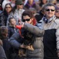Tradicional procesión cívica en honor de Sant Antoni