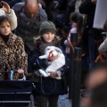 Tradicional procesión cívica en honor de Sant Antoni