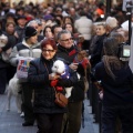 Tradicional procesión cívica en honor de Sant Antoni