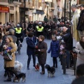 Tradicional procesión cívica en honor de Sant Antoni